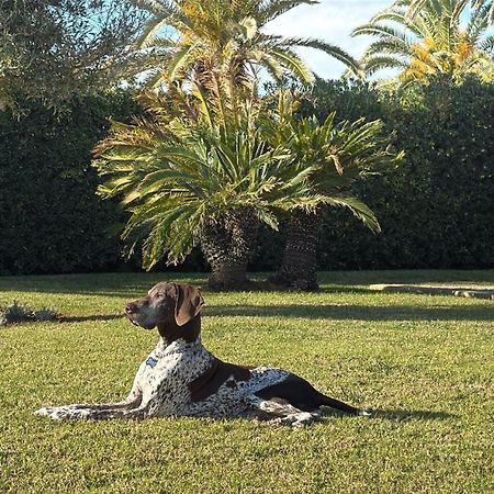 La Calma Espectacular Villa Con Jardin Y Piscina En Menorca S'Algar Exterior foto